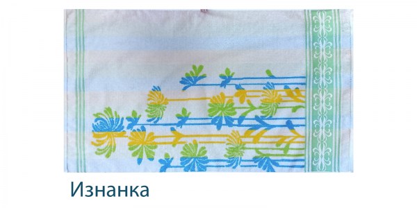 Хризантема изнанка